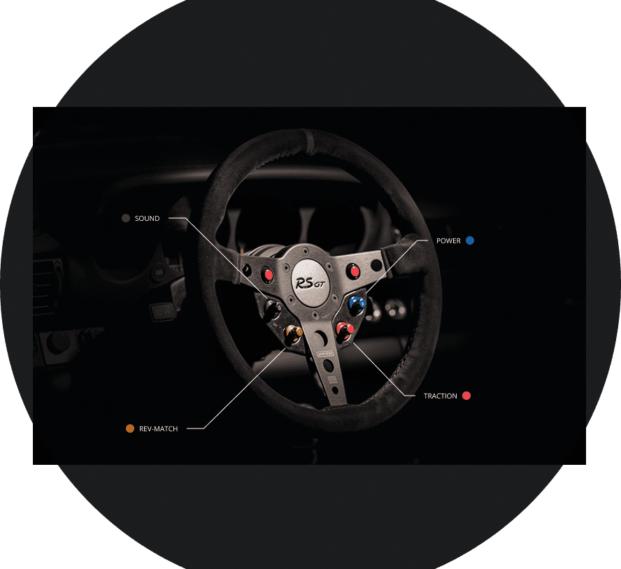 REEN Drive — steering wheel with feature callouts